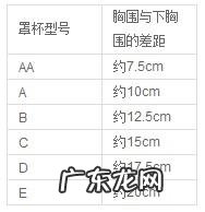 女性文胸大小怎么分辨?