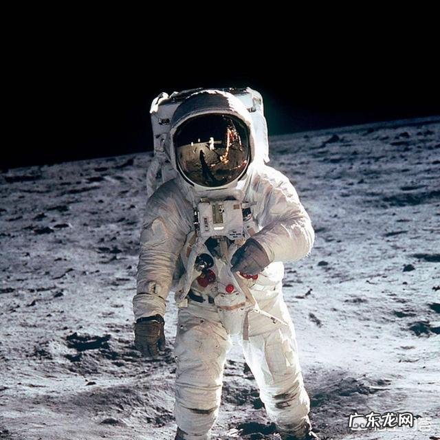 国宝大熊猫都有哪些天敌？