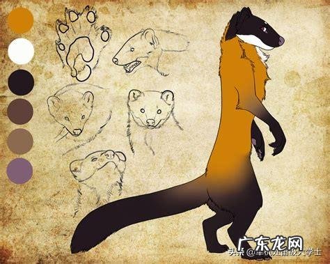 国宝大熊猫都有哪些天敌？