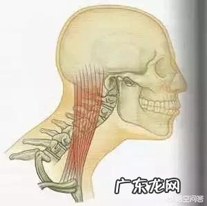 有双下巴怎么才能减掉?