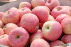 男人养生吃什么最好