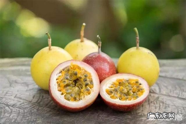 鸡蛋果适合在国内种植吗?要如何种植?