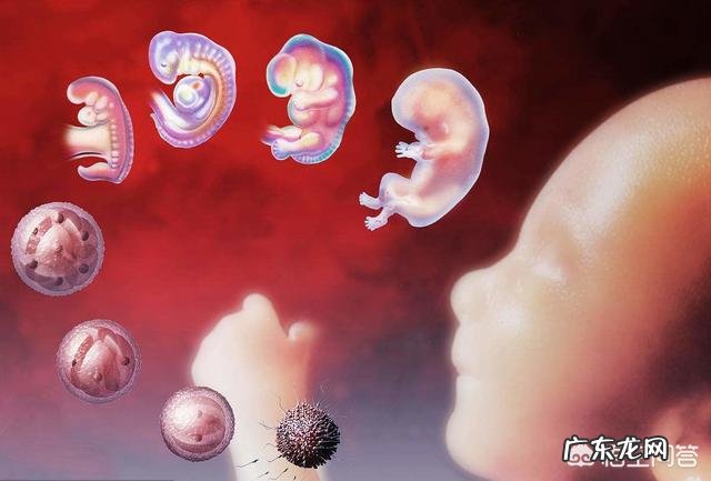 顺产生孩子是一种怎样的经历?