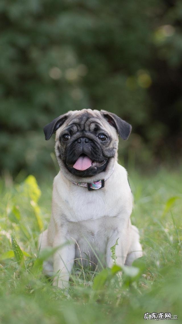 女生姨妈期间,脾气都这么暴躁的吗?为什么?