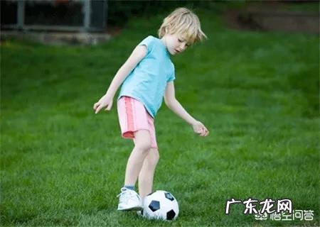 父母如何选择早教玩具?