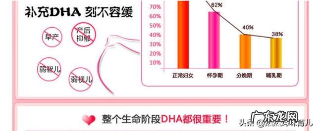 孕期哪个阶段需要补充DHA,如何通过饮食补充?