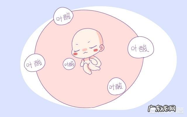 怀孕了为什么要吃叶酸?