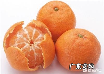 有哪些治疗小儿咳嗽的食疗方法?