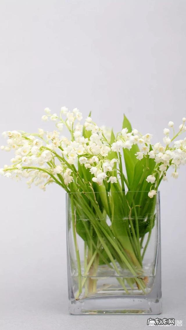 3岁孩子如何教育,怎么就是不听话,打孩子就真的好吗?