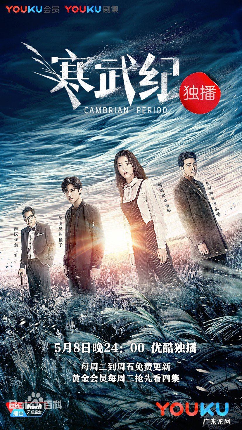 捡子唐印是什么电视剧