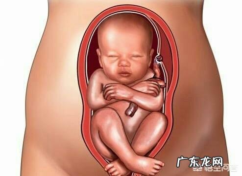 9个月的胎儿是以什么样的姿势呆在肚子里的?怀孕9个月要注意什么?