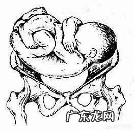 9个月的胎儿是以什么样的姿势呆在肚子里的?怀孕9个月要注意什么?