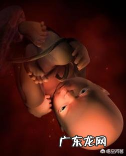 9个月的胎儿是以什么样的姿势呆在肚子里的?怀孕9个月要注意什么?