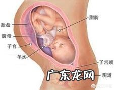 9个月的胎儿是以什么样的姿势呆在肚子里的?怀孕9个月要注意什么?
