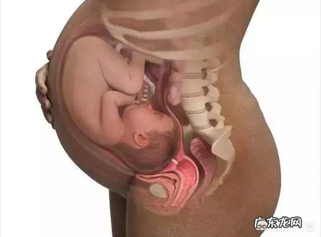 9个月的胎儿是以什么样的姿势呆在肚子里的?怀孕9个月要注意什么?