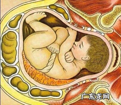 9个月的胎儿是以什么样的姿势呆在肚子里的?怀孕9个月要注意什么?