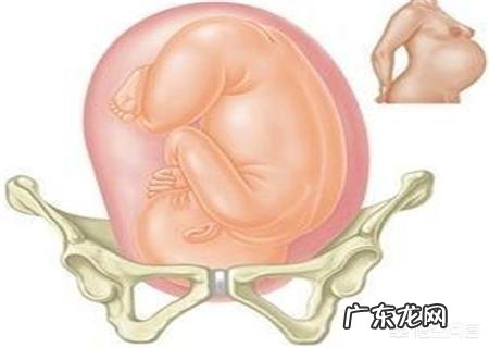 9个月的胎儿是以什么样的姿势呆在肚子里的？怀孕9个月要注意什么？