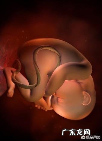9个月的胎儿是以什么样的姿势呆在肚子里的?怀孕9个月要注意什么?