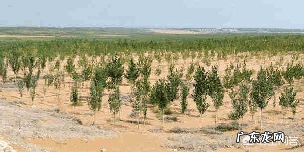 雾霾形成的原因防治措施和危害分别是什么?