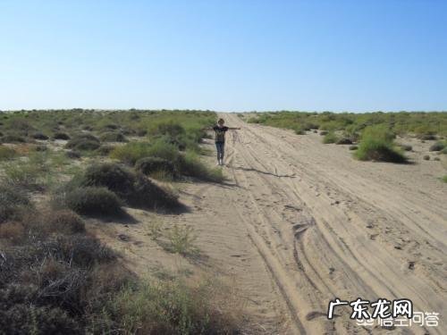 雾霾形成的原因防治措施和危害分别是什么?