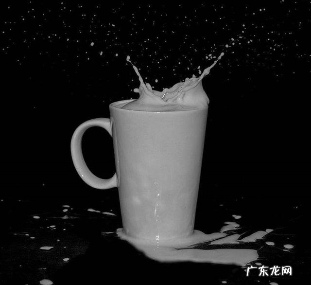 能推荐一款乳糖不耐可以喝的乳清蛋白粉吗?