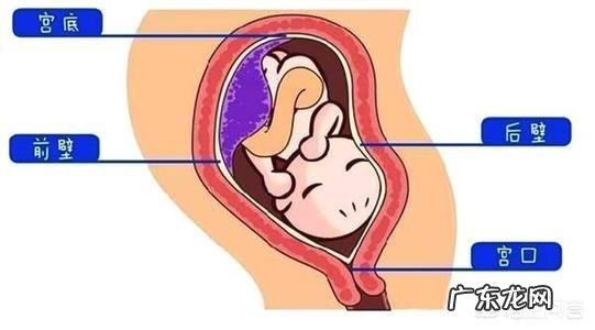 怀孕4个月正常的肚子应该是什么样的呢？