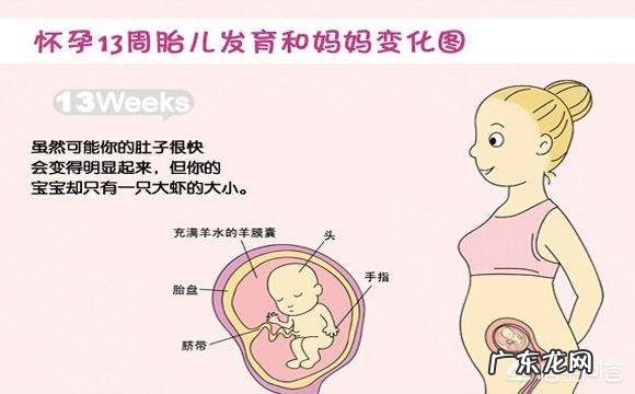 怀孕4个月正常的肚子应该是什么样的呢?