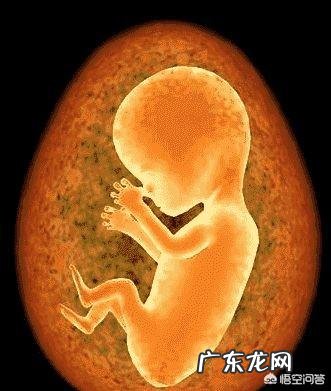 怀孕4个月正常的肚子应该是什么样的呢？