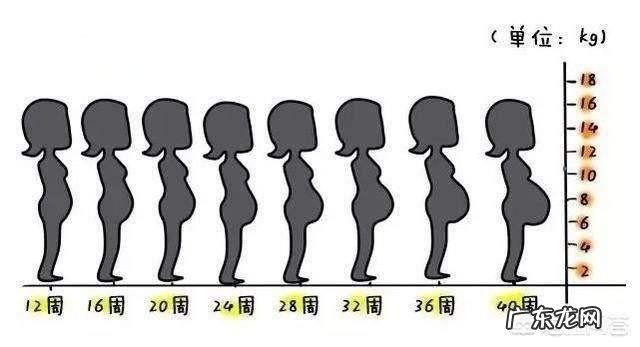 怀孕4个月正常的肚子应该是什么样的呢?