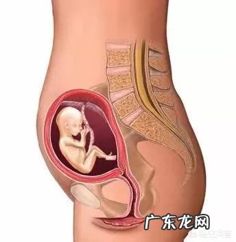 怀孕4个月正常的肚子应该是什么样的呢?