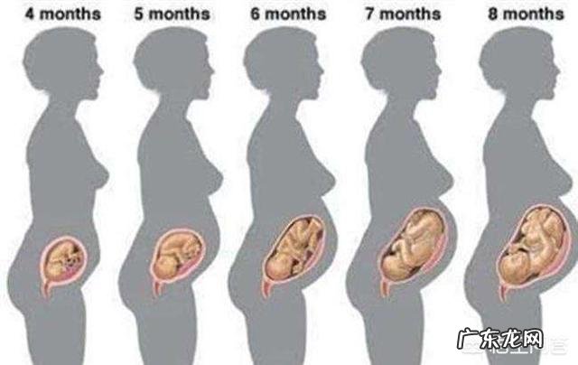 怀孕4个月正常的肚子应该是什么样的呢?