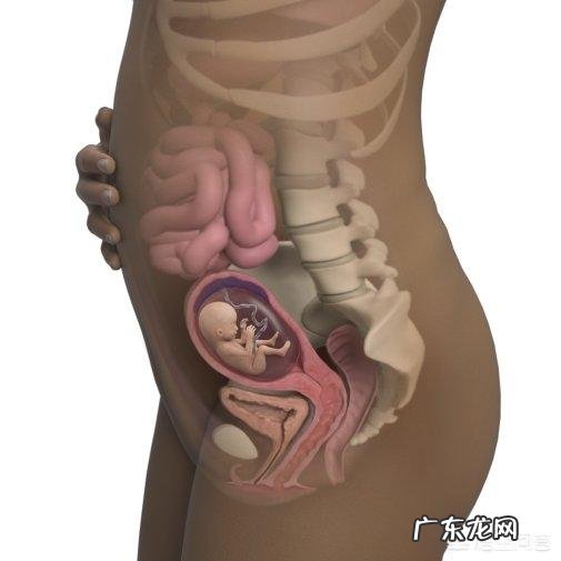 怀孕4个月正常的肚子应该是什么样的呢?