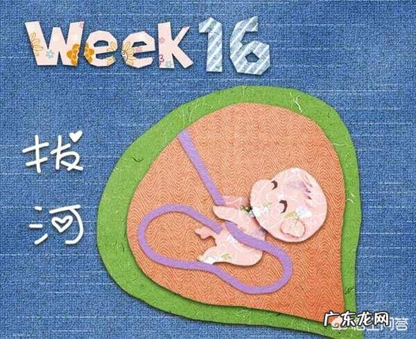 怀孕4个月正常的肚子应该是什么样的呢？