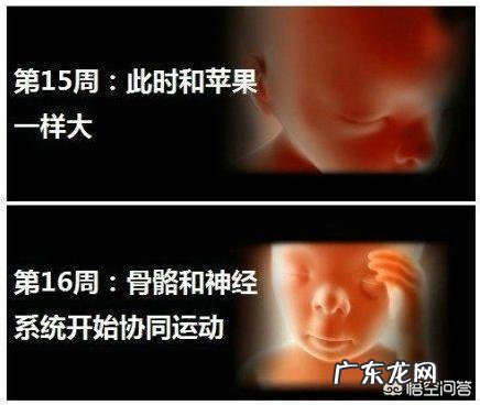 怀孕4个月正常的肚子应该是什么样的呢?