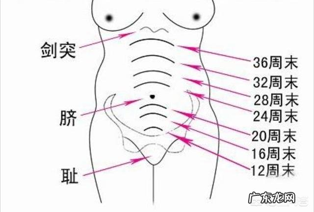 怀孕4个月正常的肚子应该是什么样的呢？