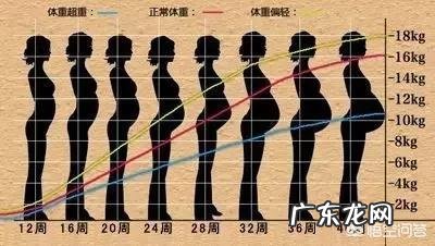 怀孕4个月正常的肚子应该是什么样的呢?