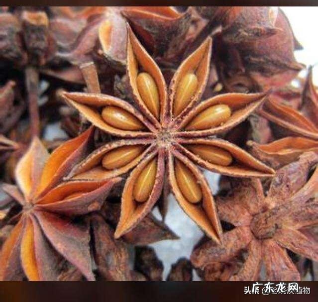 八角和大料有什么区别?