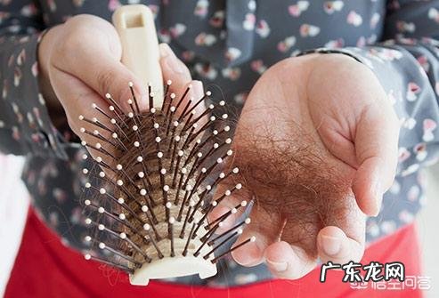 常说的B族维生素都是什么?