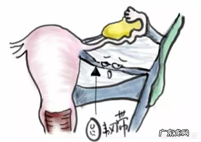 怀孕后小腹痛正常吗?是什么原因?