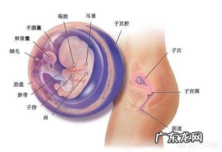 怀孕后小腹痛正常吗？是什么原因？
