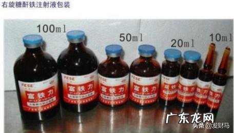 母猪分娩管理知识要点讲解,月子里的母猪该如何照料?