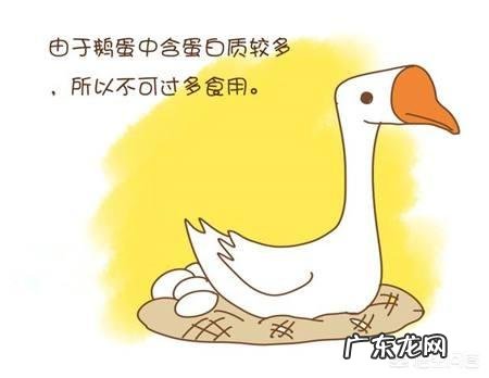 怀孕能吃鹅蛋吗?