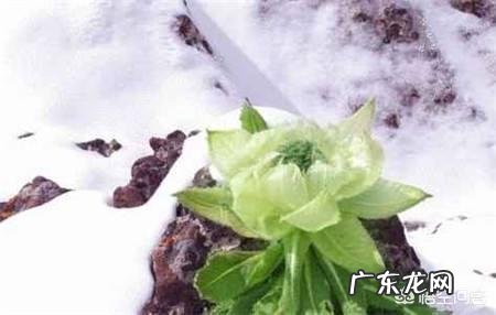 为什么高温没有上限,而低温却有一个绝对零度在限制?