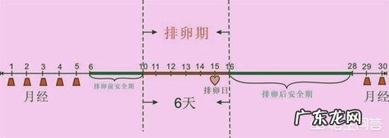 平时月经周期规律，刚来过月经会怀孕吗？