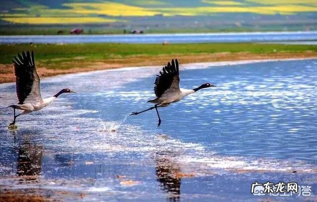 最浪漫最适合情侣旅游的国内景点是哪里？