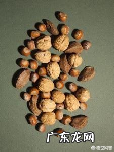 孕妇吃坚果有哪些注意事项?