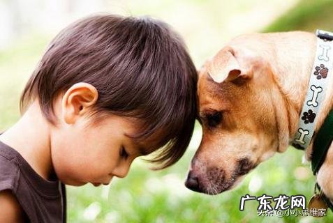 蒙氏教育和正面管教有什么不一样吗？