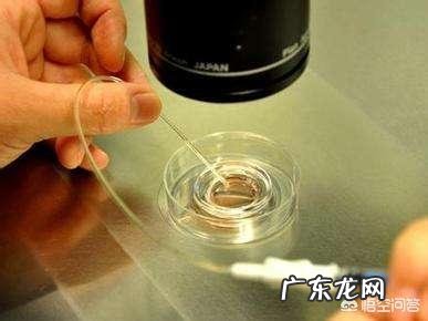 试管婴儿一次成功率有多大?能包成功吗?