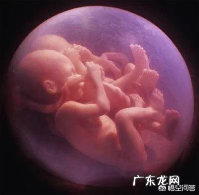 试管婴儿一次成功率有多大？能包成功吗？