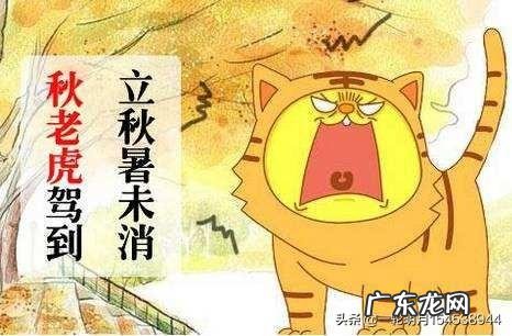 秋老虎从什么时候开始?为什么叫秋老虎?